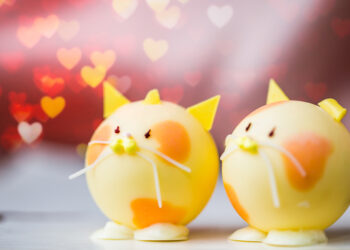 The Real Meaning Behind Happy 520!