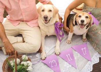 7 Adorable Ways To Make Your Pet The Guest Of Honour At Your Wedding