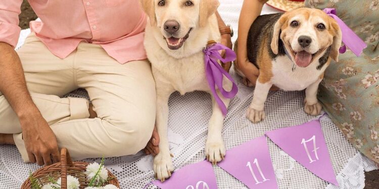 7 Adorable Ways To Make Your Pet The Guest Of Honour At Your Wedding