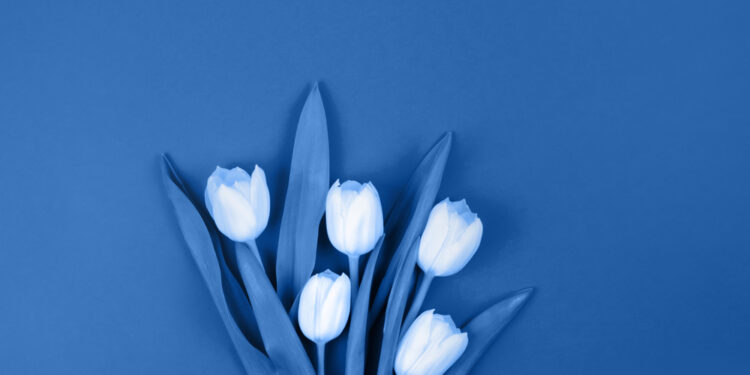 2020's Biggest Wedding Trends