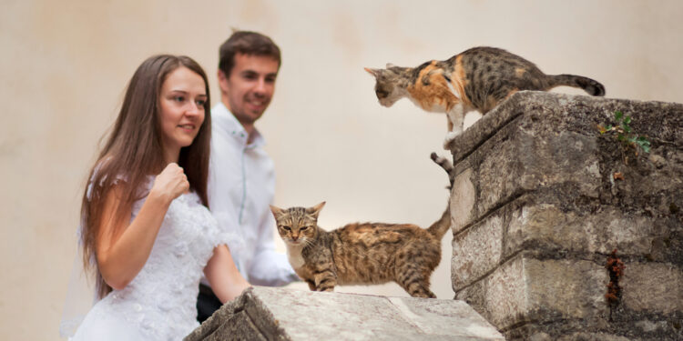 Sharing love with others